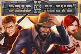 Dead or Alive 2 review