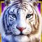 water tiger