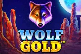 wolf gold preview